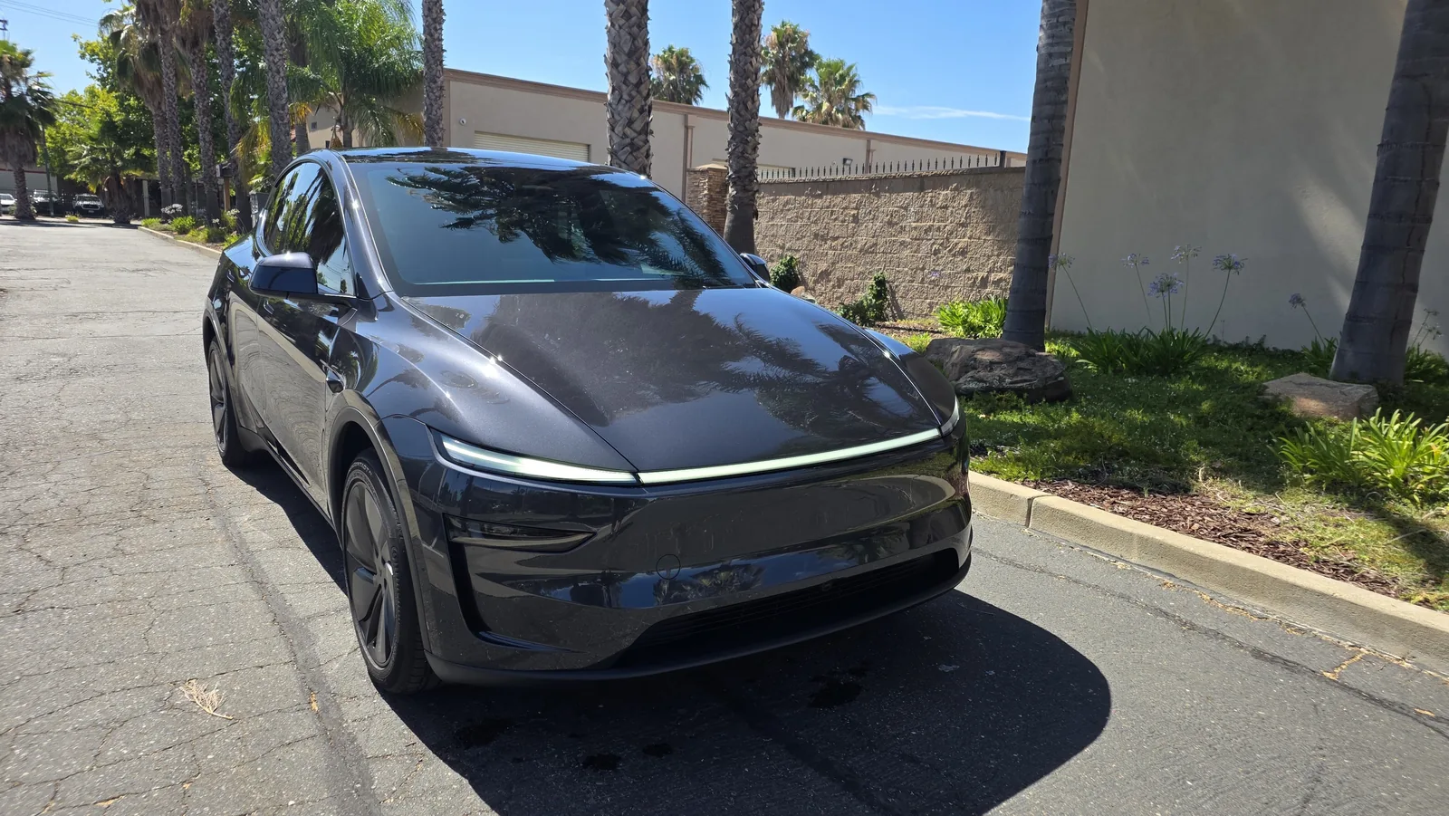 New Model Y with clear film on the front end and ceramic tint